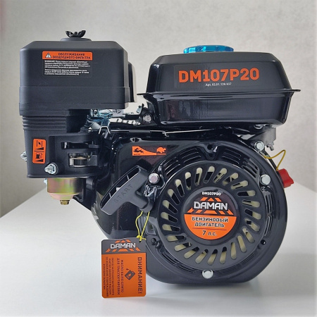 Двигатель Daman DM107P20 (7 лс) 20 мм